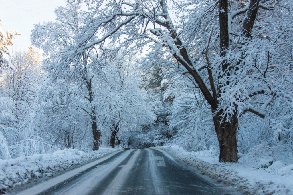 demenager en hiver